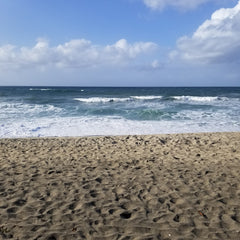 Carlsbad CA beach