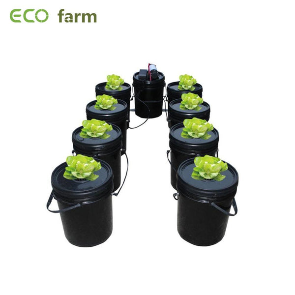 Sala Interpretar sentido ECO Farm Kits de Sistemas de Cultivo Hidropónico DWC 8 Cubos Baratos -  es.growpackage.com