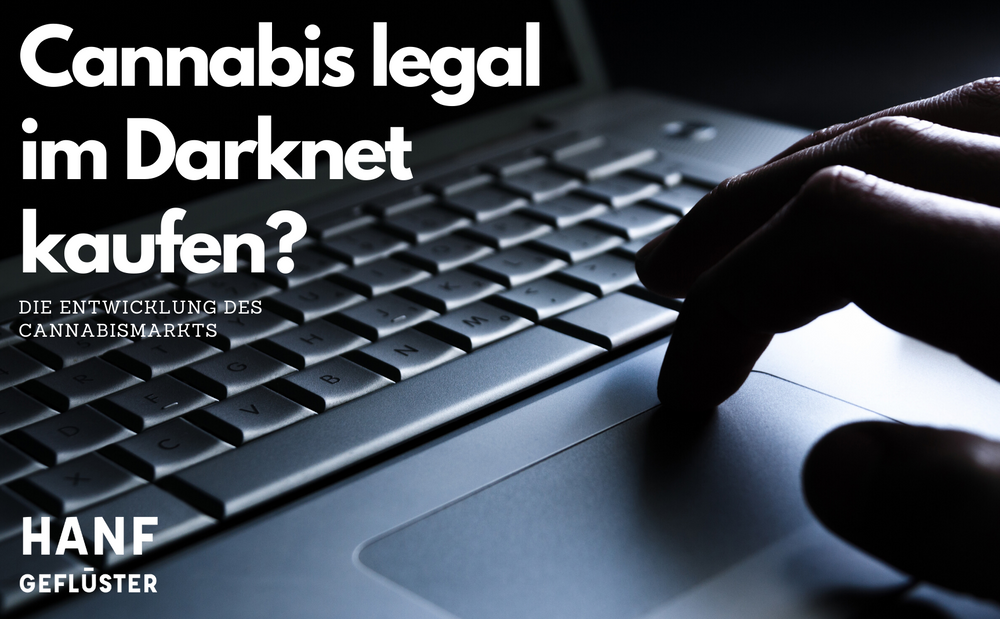 Darknet cannabis markets