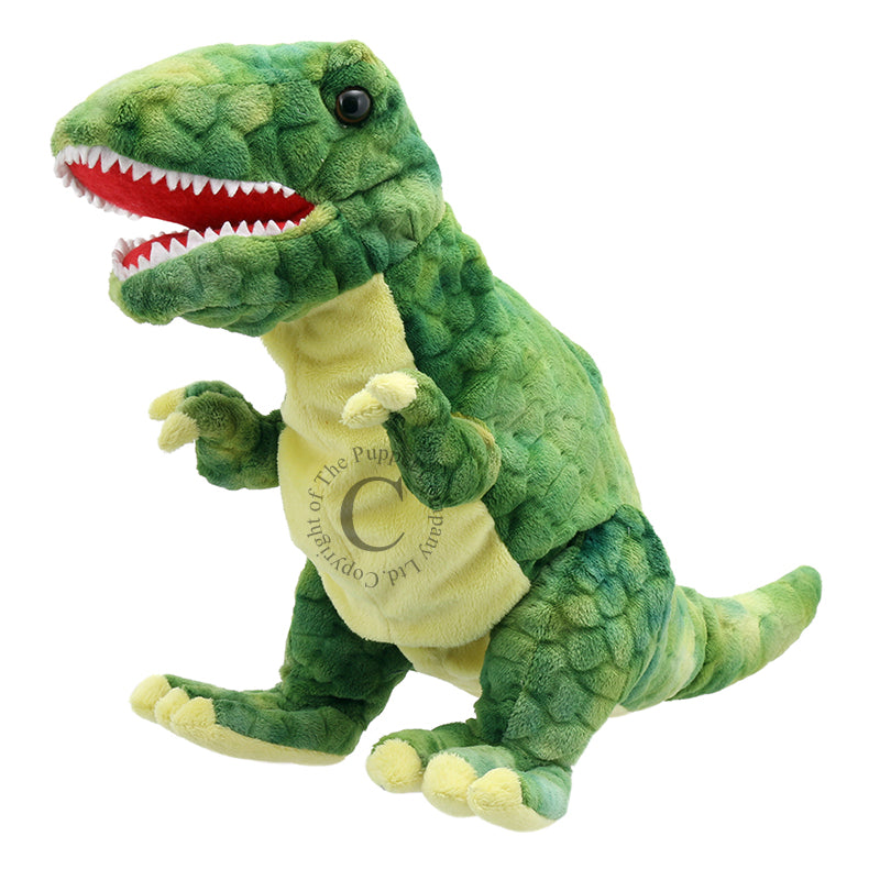 Beïnvloeden moord Verlaten Baby Dinos- Baby T-Rex - Things They Love