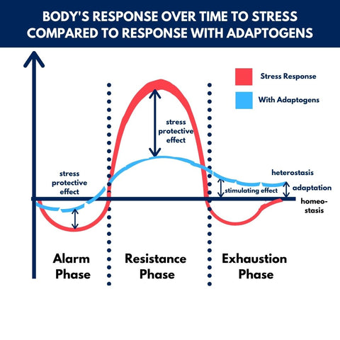 Body's response over time to stress compared to response with adaptogens