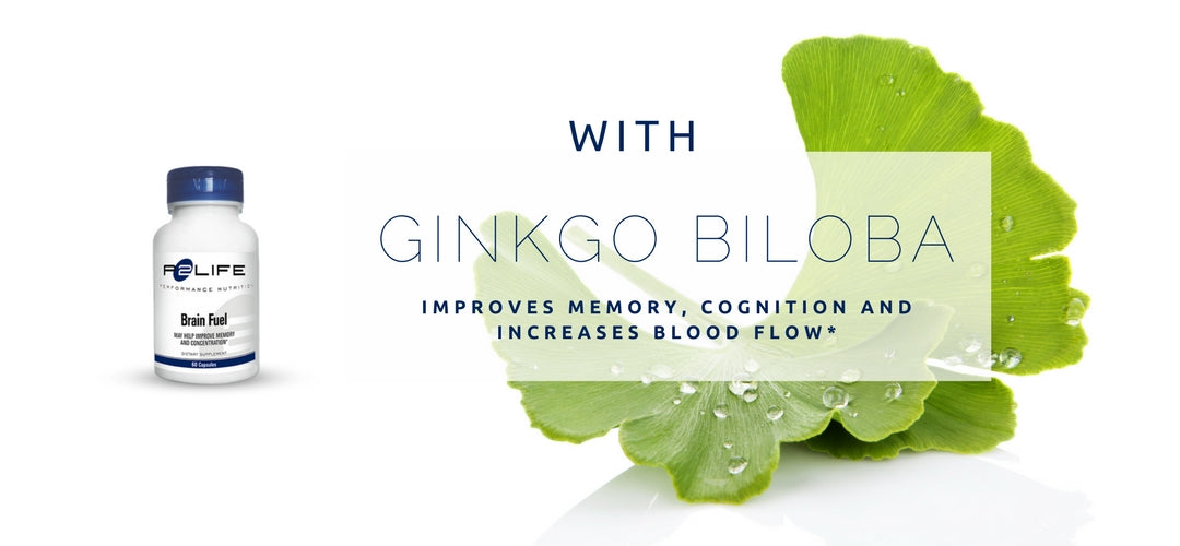 Ginkgo Bilba Nootrpic and Brain Supplement