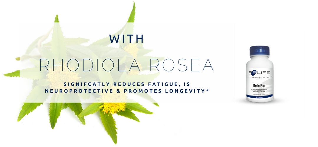 What is Nootrpoic Rhodiola Rosea and Brain Supplement