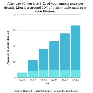 Graph showing annual age related muscle mass of 3-5% loss per decade after age 30