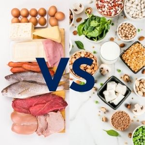 Meat, fish, eggs and dairy on a plate and nuts, tofu, and spinach in bowls with V.S symbol in the center