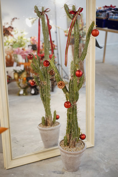 Artificial potted Chihuahua Cactus – Wen's Floral Studio