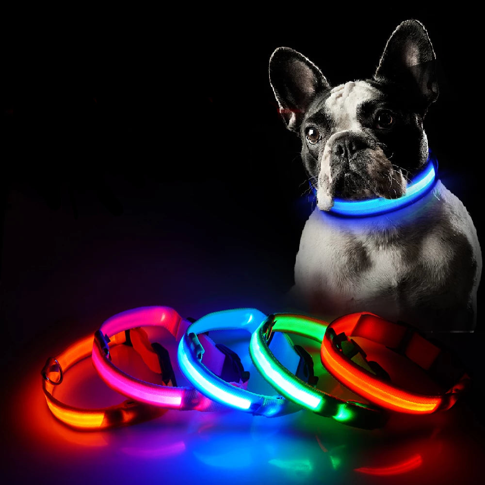 lighted dog collars