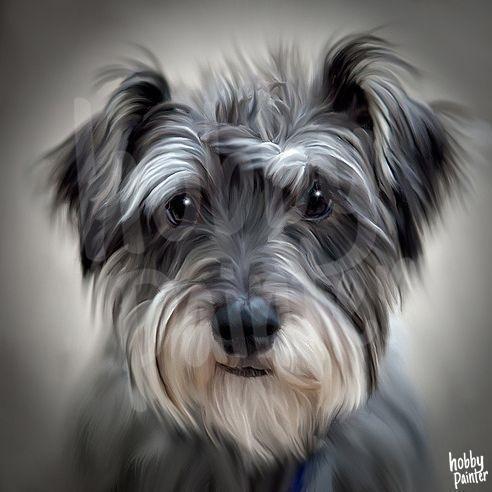 Hond diamond painting