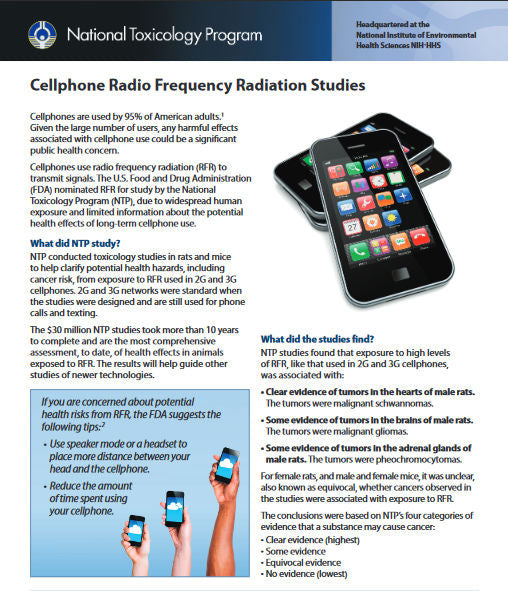2020 NTP cellphone studies
