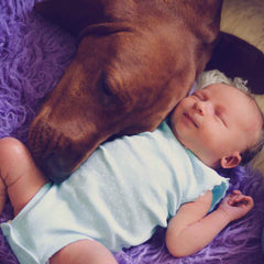 Baby with Dog asleep