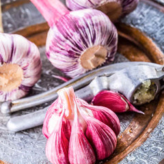 Bulbs of Purple Garlic