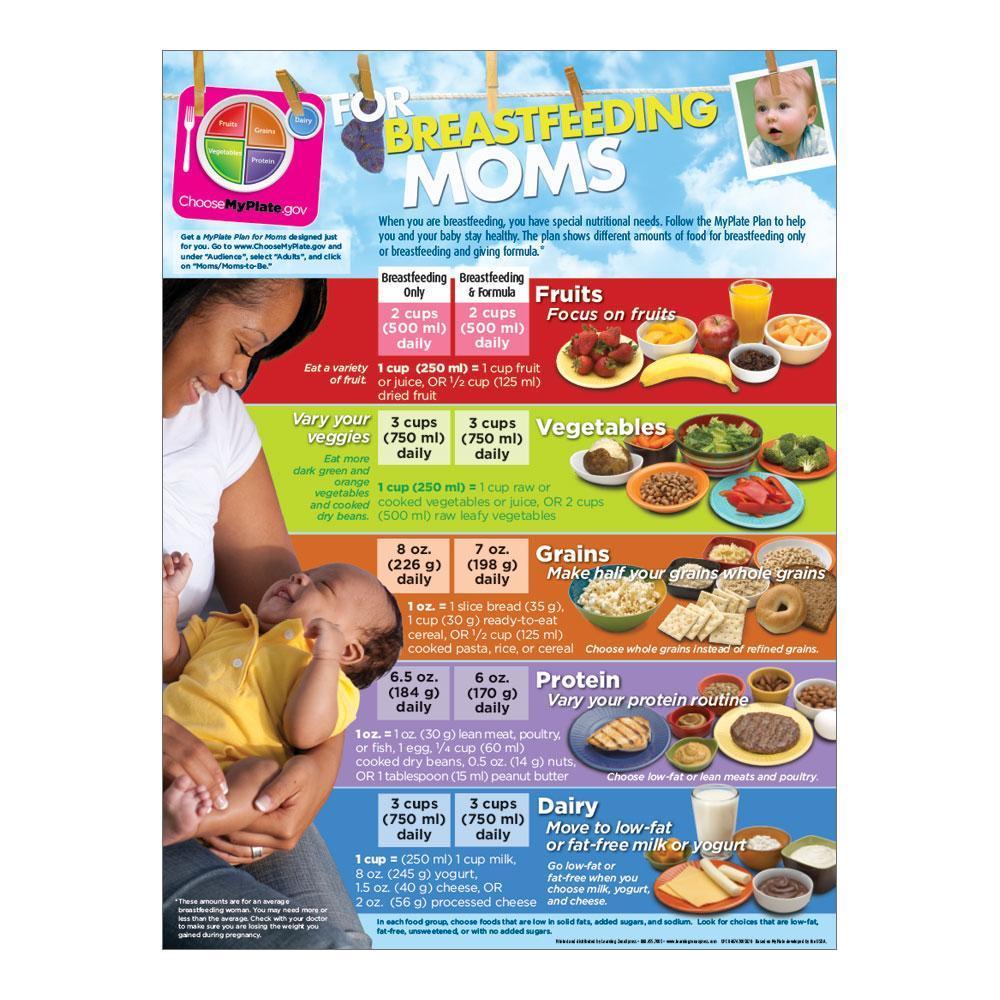 Myplate For Breastfeeding Moms Poster Wic Poster Visualz