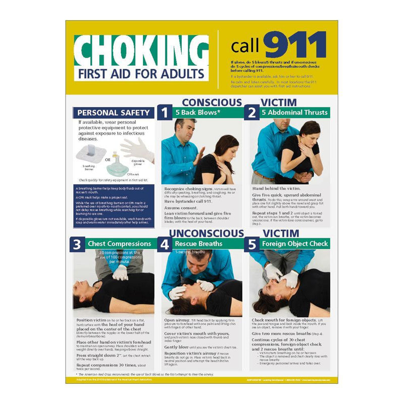 Adult Cpr And Choking Poster Set Safety Skill Visualz 