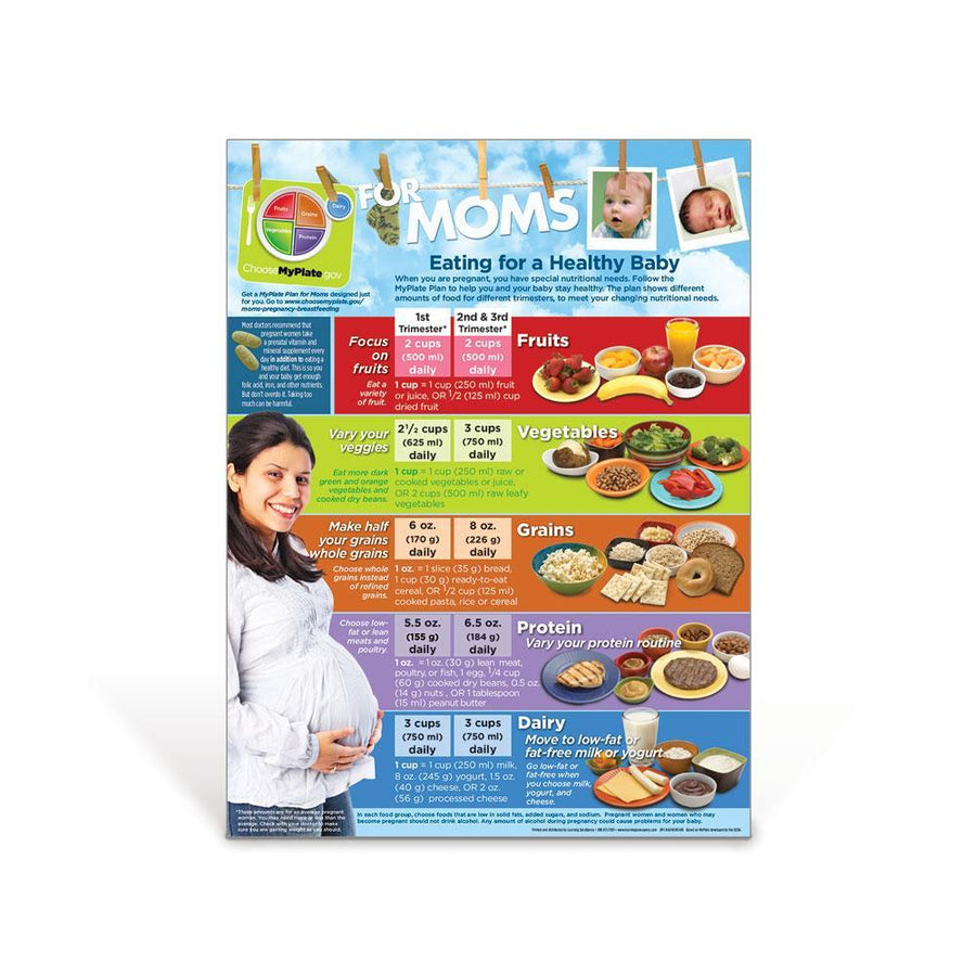 Myplate Breastfeeding Nutrition Handouts Dietary Guidelines Visualz 