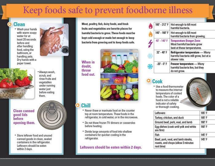 Food Safety for Older Adults Tri-Fold Brochures - Visualz