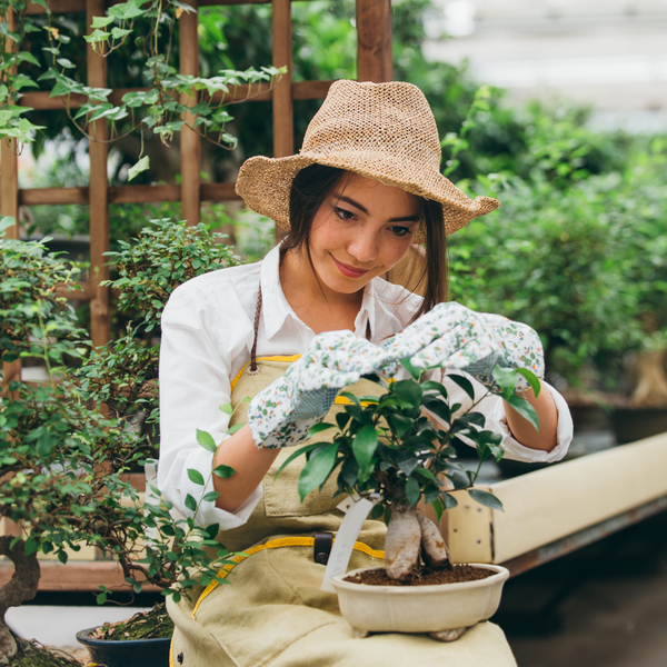 Woman working on her plants