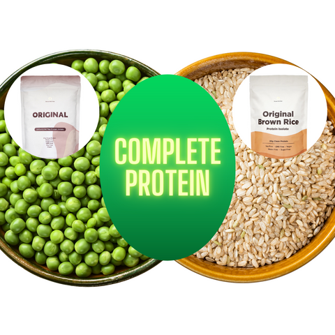 plant-based protein powder