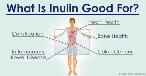 inulin benefits