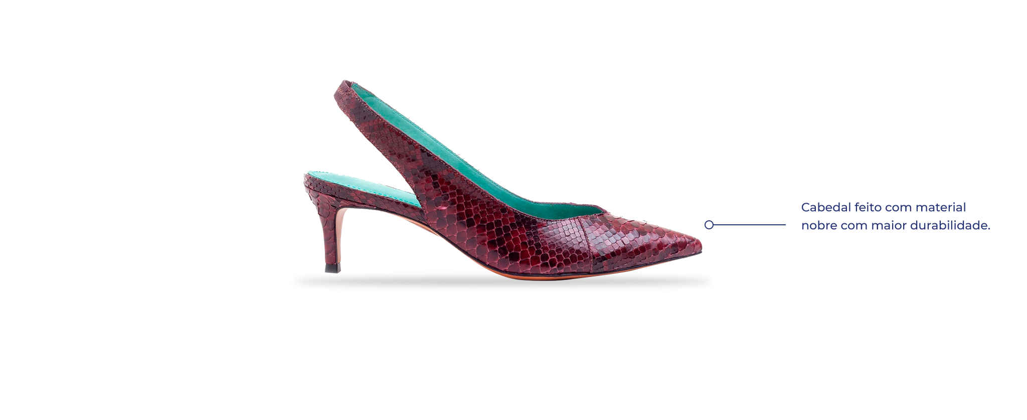 Blue Bird Shoes
