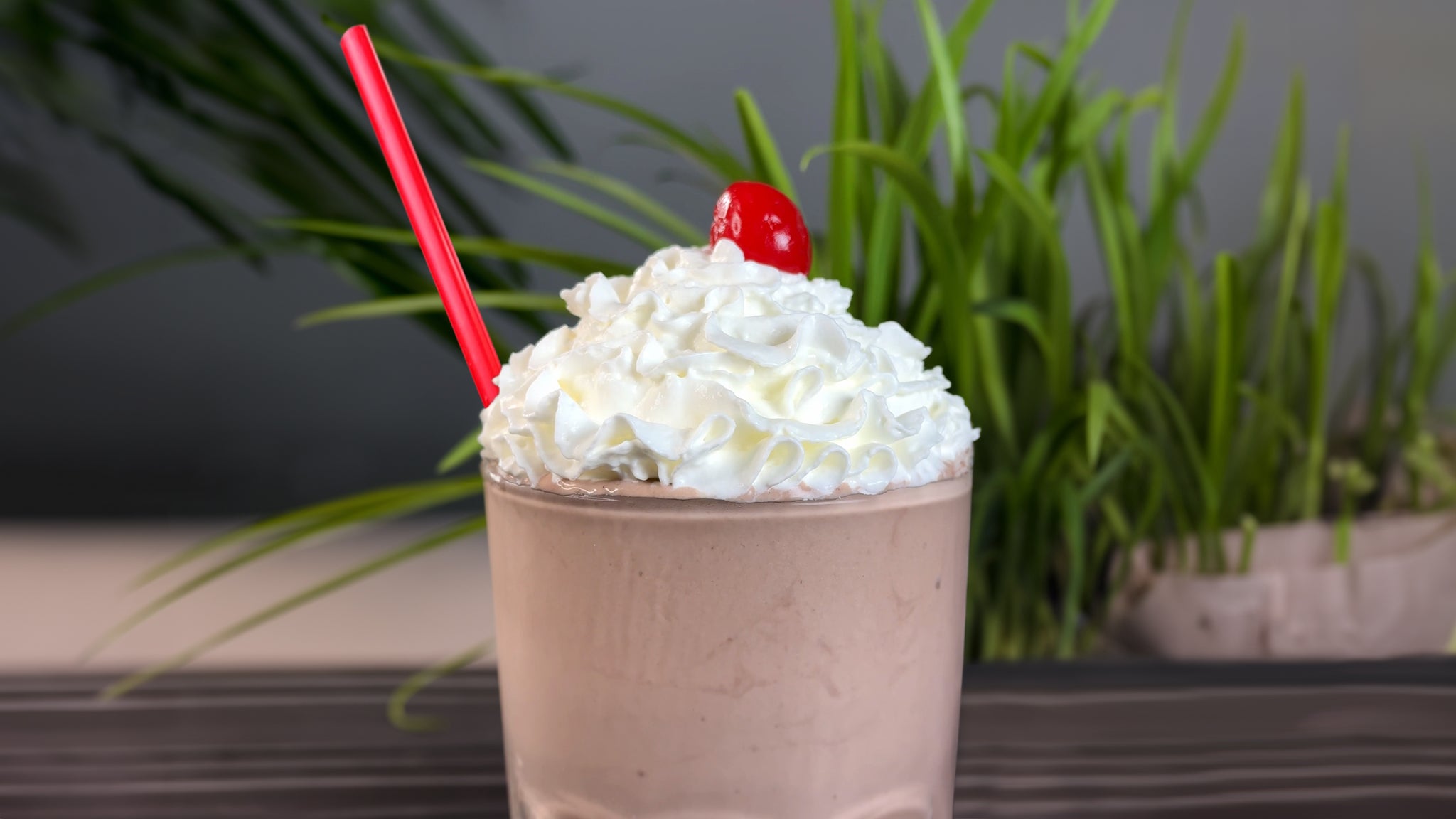 Chocolate Malt Protein Shake