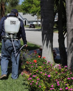 Chapin Backpack sprayer - turf & agriculture