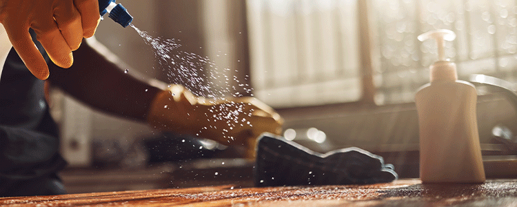 Cleaning Countertops