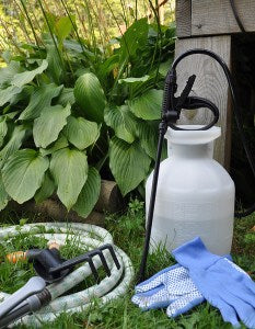 Chapin SureSpray sprayer in lawn