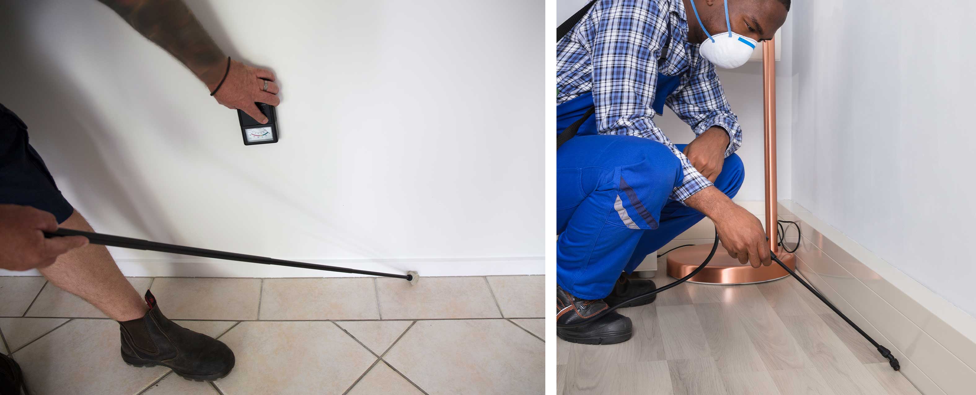 Treating & spraying termites in the home