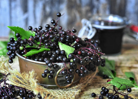Health benefits of black elderberries
