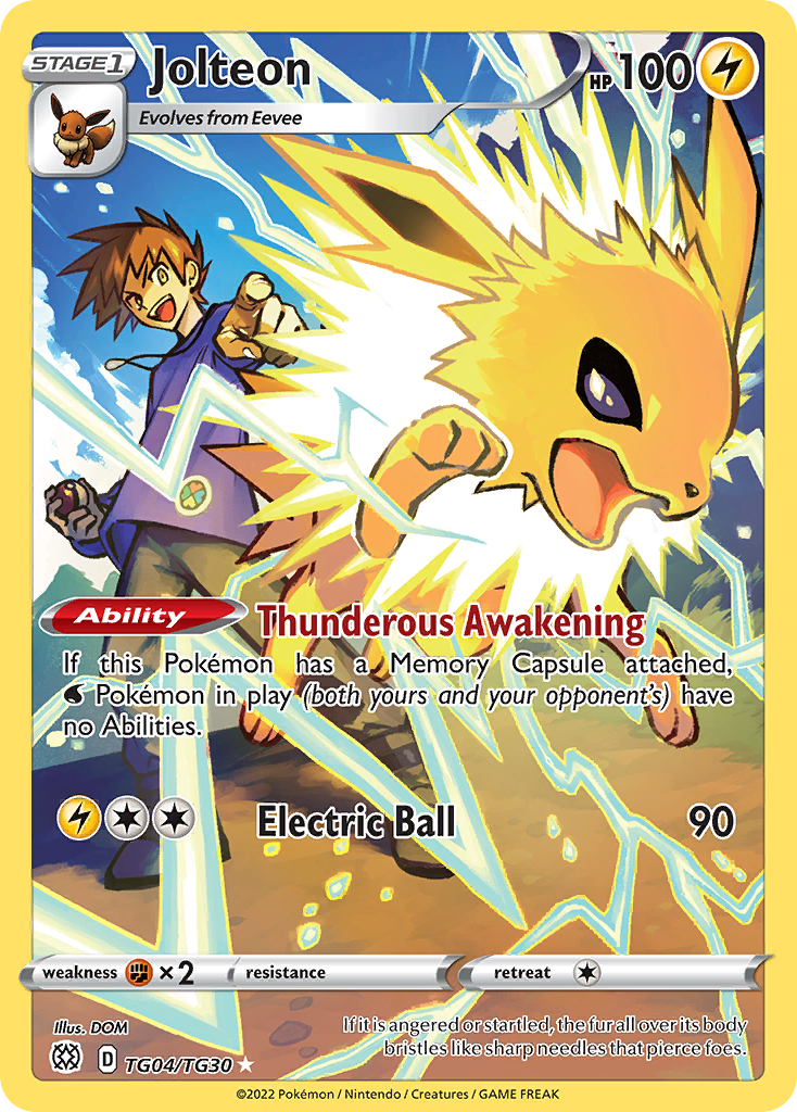 Raikou V 048/172 Ultra Rare Pokemon Card (SWSH Brilliant Stars