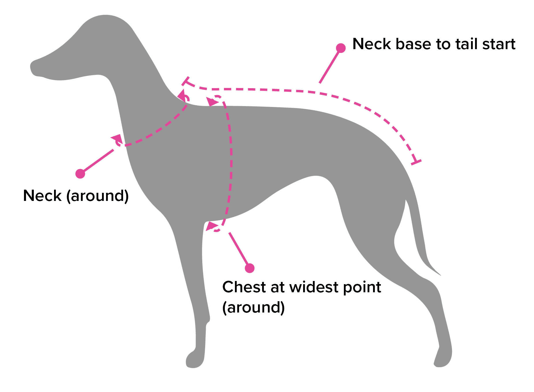 Size Guide, Italian Greyhound Clothing