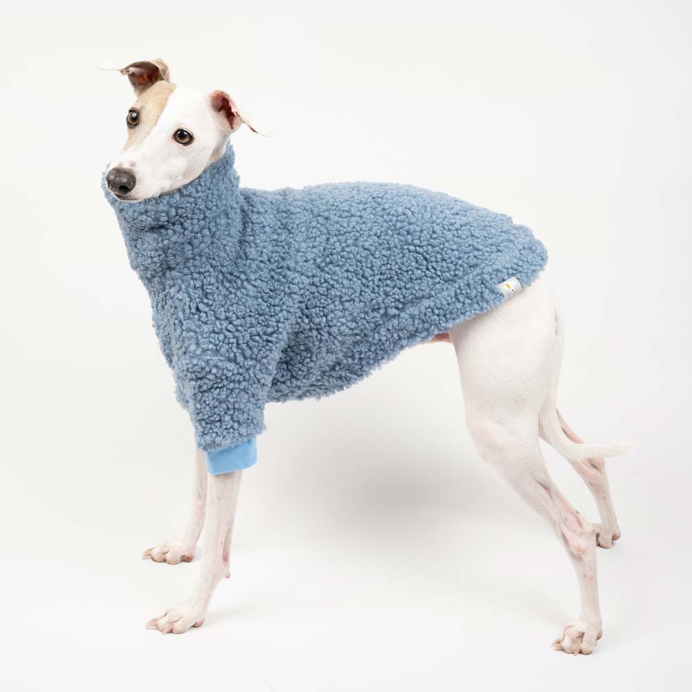 Italian Greyhound Fluffy Reversible Turtleneck Sweater Sky Blue | IGGY ...