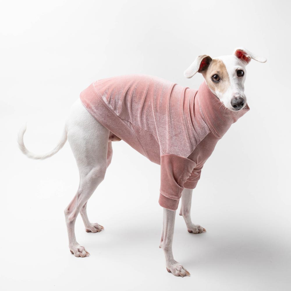 Italian Greyhound Turtleneck Sweater in Pink Velvet#N# #N# #N##N# – #N ...