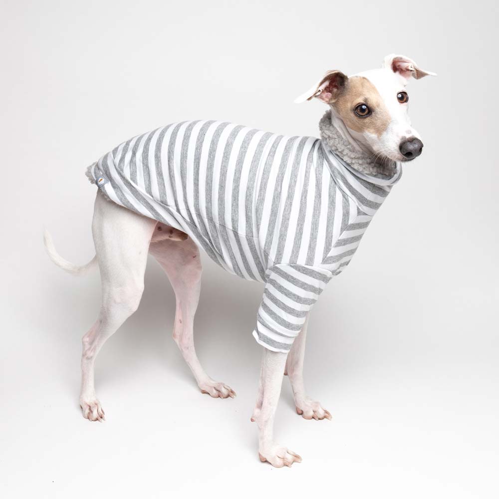 Italian Greyhound Fluffy Reversible Turtleneck Sweater Grey | IGGY DOGWEAR