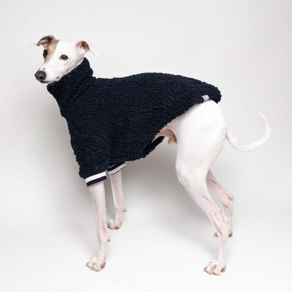 Italian Greyhound Fluffy Reversible Turtleneck Sweater Navy | IGGY DOGWEAR