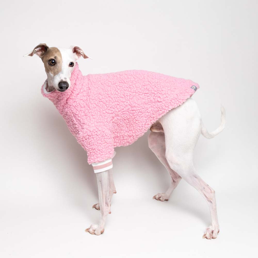 Italian Greyhound Fluffy Reversible Turtleneck Sweater Pink | IGGY DOGWEAR