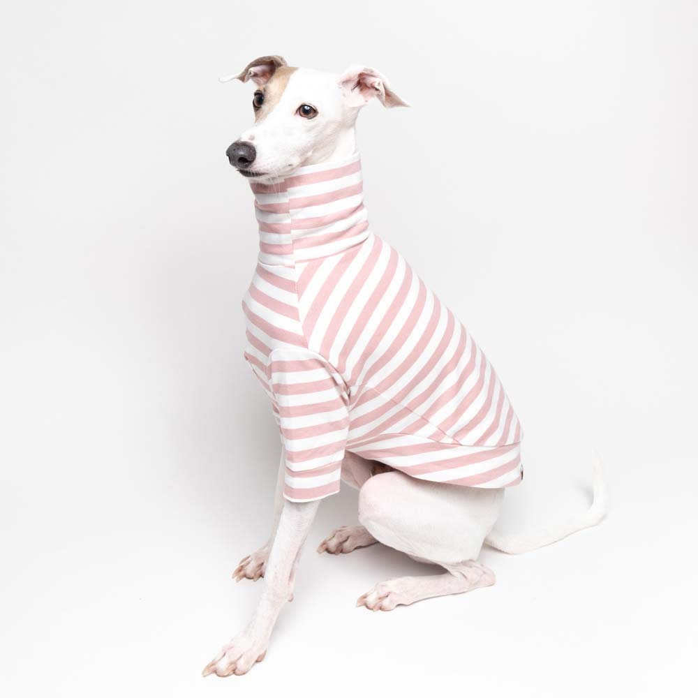 Italian Greyhound Turtleneck Sweater Strawberry Stripe | IGGY DOGWEAR
