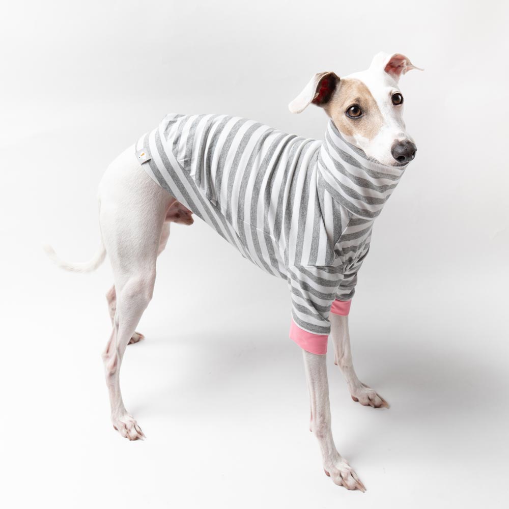 Italian Greyhound Turtleneck Sweater in Grey White Pink | IGGY DOGWEAR