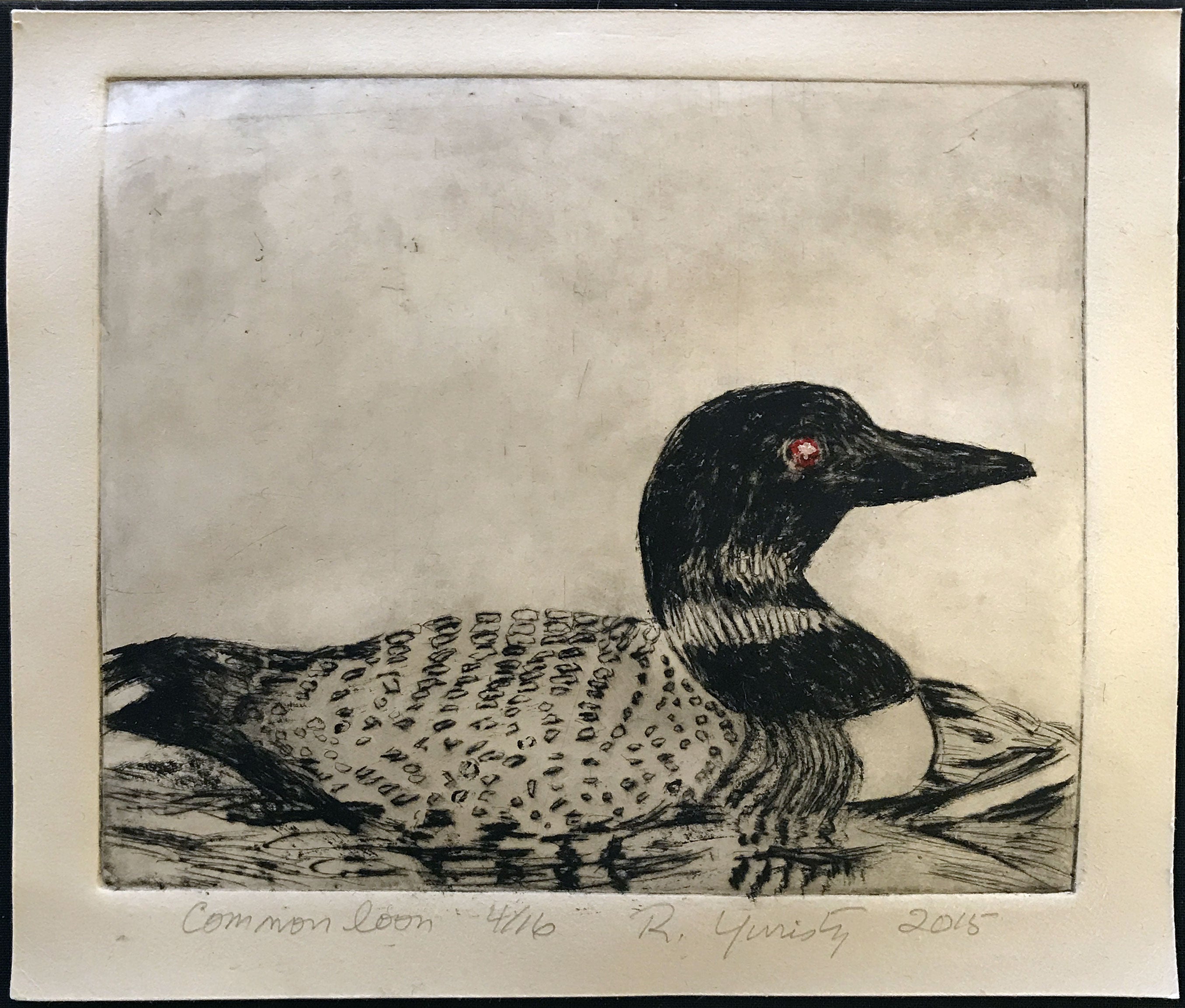 common loon painting