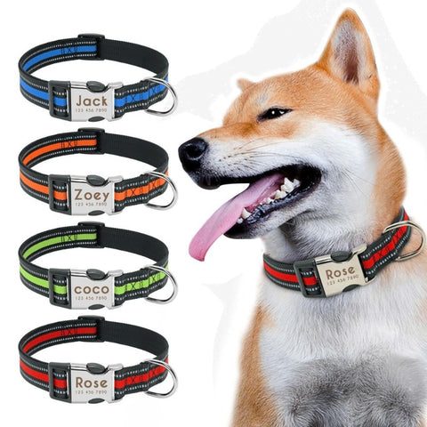 sensible dog harness