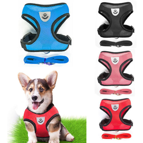 sensible dog harness