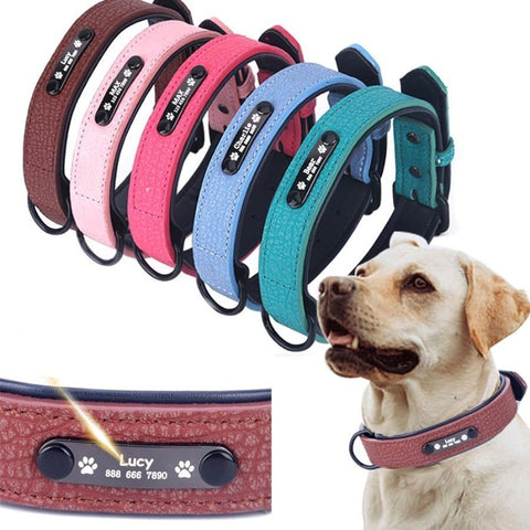 sensible dog harness