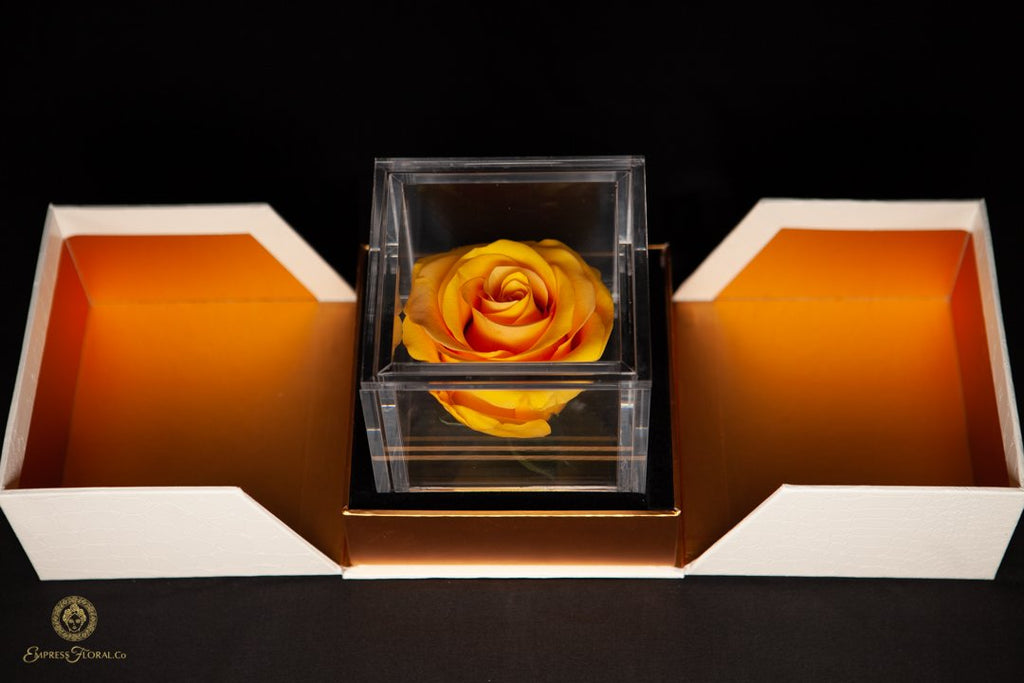 Empress Flora Real Luxury Preserved Boxed Roses