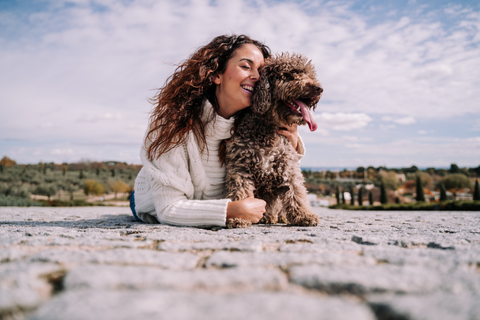 frisco labs pet vet hemp dog hugging