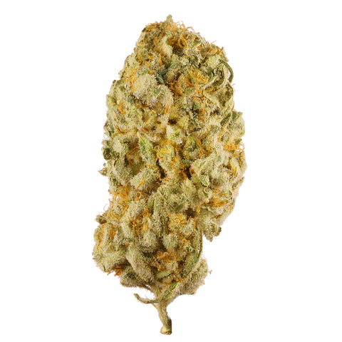 Jack Herer CBD Flower