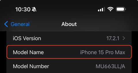 iPhone Settings check Model Name