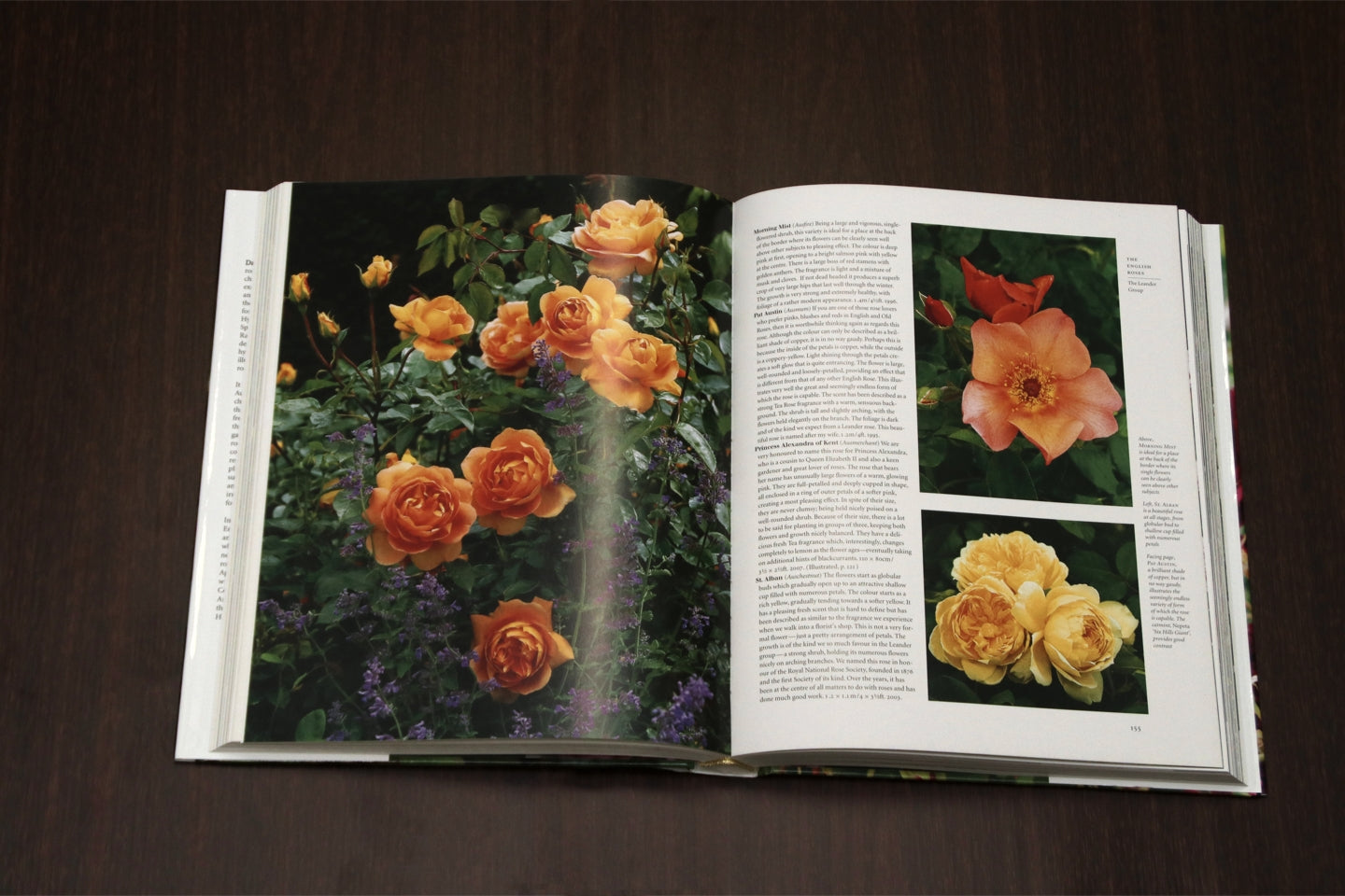 新版 The Rose 英語版 By デビッド オースチン David Austin S The Rose David Austin Roses Japan