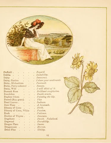 language of flowers victorian book page