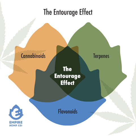 Venn diagram of the entourage effect