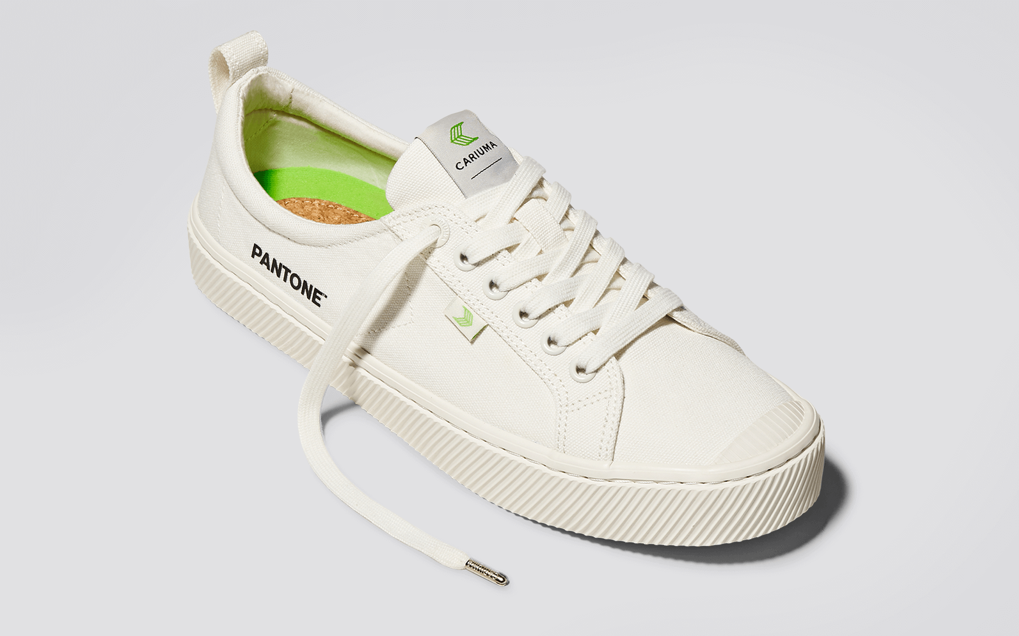 CARIUMA: Women's Low Top Pantone White Canvas Sneaker | The OCA Low